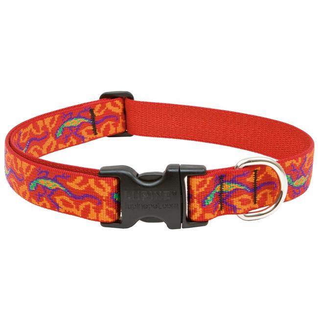1in Go Go Gecko 12-20 Adj Collar