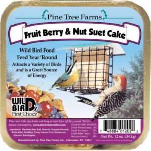 FRUIT BRY NUT SUET CAKE 12OZ