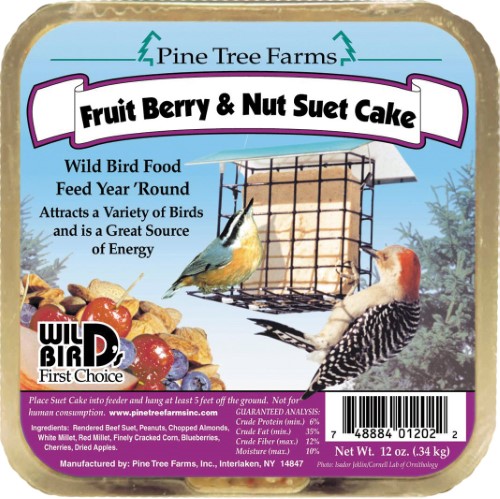 FRUIT BRY NUT SUET CAKE 12OZ