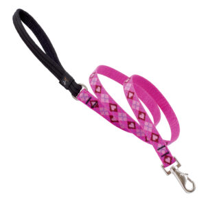 3/4in Puppy Love 6ft Leash
