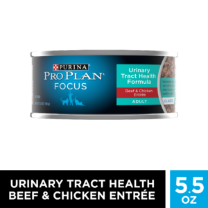 PRO PLAN CAT UTH BEEF/CKN 5.5OZ