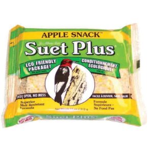 SUET PLUS APPLE SNACK SUET 11 OZ