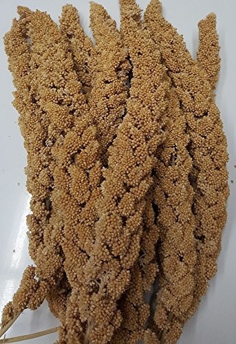 NATURAL SPRAY MILLET 12CT 6