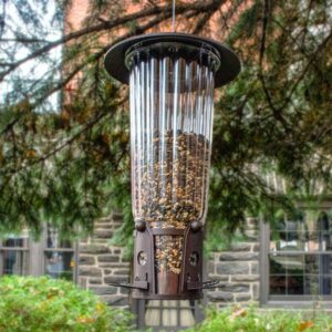 SQUIRREL BE GONE MAX 4LB BRZ