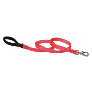 3/4in Red 6ft Leash