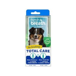 FRSH BRTH TEETH/ORAL KIT 4OZ