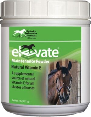 ELEVATE POWDER 2LB
