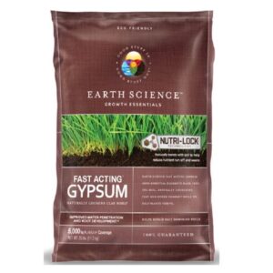 GYPSUM FAST ACTING  25 LB