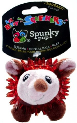 SPUNKY PUP LIL BITTY HEDGEHOG