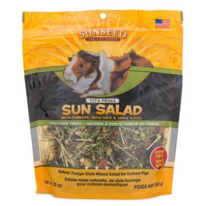 SUN SALAD GUINEA PIG 10OZ