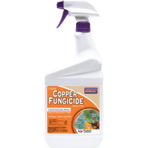 COPPER FUNGICIDE RTU QT