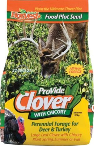 PROVIDE FORAGE CHICORY 4LB