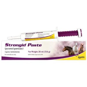 STRONGID PASTE 20 ML EQUINE