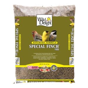 WILD D SPECIAL FINCH 5LB