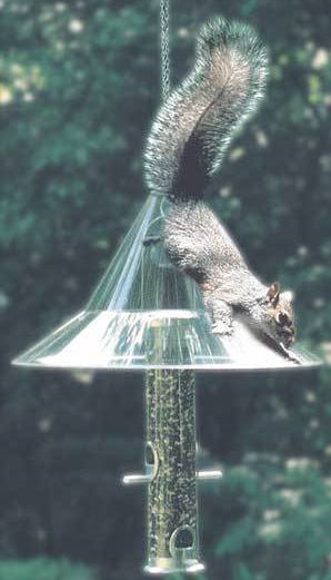 HANGING SQUIRREL BAFFLE 4