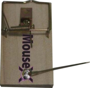 MOUSE X SNAP TRAP 4PK