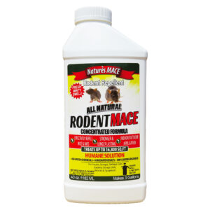 CONCENTRATE RODENT MACE 40OZ