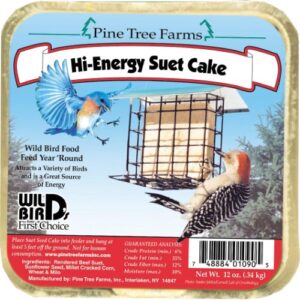 PTF HIGH ENERGY SUET 12OZ