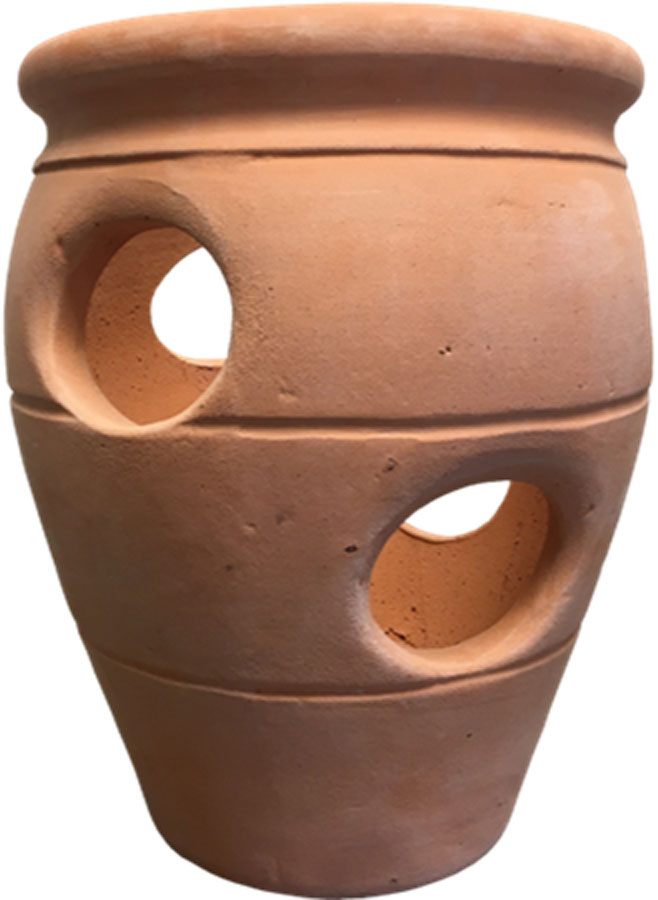 STRWBRY POT TERRACOTTA 2GAL