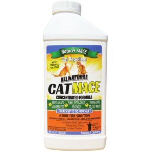 CONC CAT MACE 40 OZ