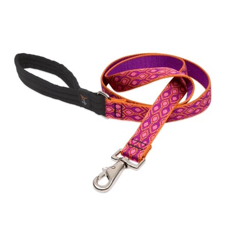 1in Alpen Glow 6ft Leash