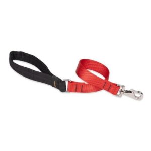 1in Red 2ft Leash