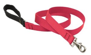 1in Red 4ft Leash