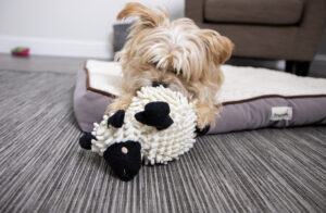 FUZZY WUZZY LAMB DOG TOY