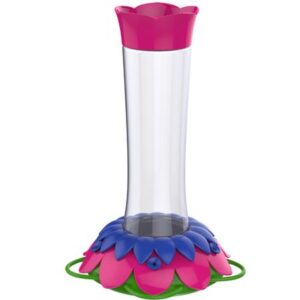 HUMBIRD GRVTY FUSHIA