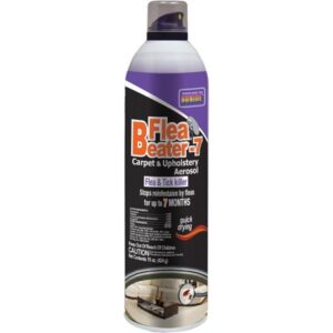 CARPET & UPH AEROSOL 15OZ 12