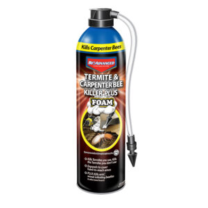 TERMITE CARPENTER BEE FOAM 18OZ