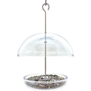 THE CUTEST FEEDER CHICKADEE