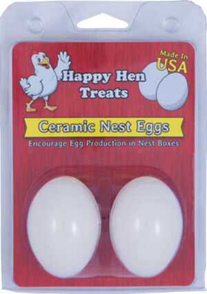 CERAMIC NEST EGG 2 PK WHITE