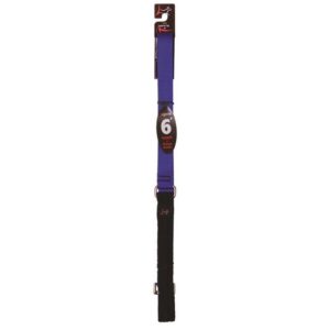 1in Blue 6ft Leash