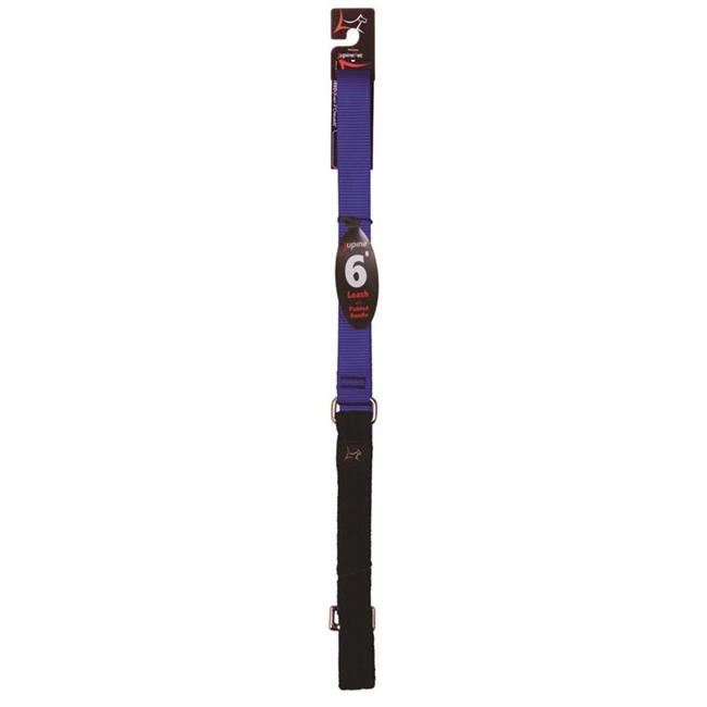 1in Blue 6ft Leash