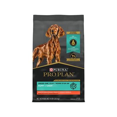 PP DOG SSS PUPPY SAL/RC 4#