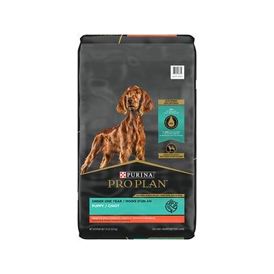 PP DOG SSS PUPPY SAL/RC 24#