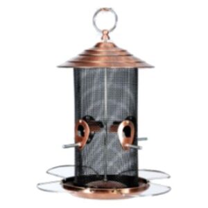COPPER ROOF MIXSEED BIRD FDR