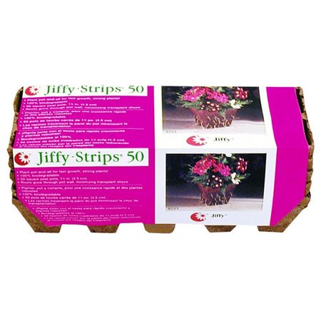 JIFFY STRIPS 1 IN-10 CELL-5