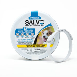 SALVO F&T COLLAR DOG SM 2 PK