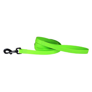BIOTHANE LEASH 6FT LM GREEN