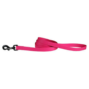 BIOTHANE LEASH 6FT RUBY