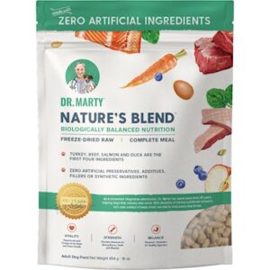DM FRZ DR NATURE BLEND 16OZ RAW