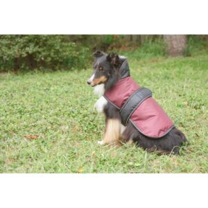 ARCTIC COAT BURGUNDY LG 48