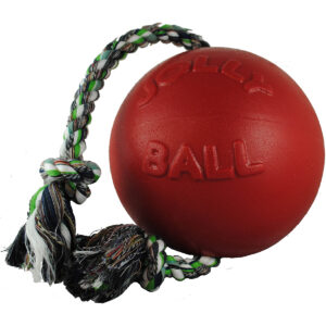 ROMP-N-ROLL BALL RED LG