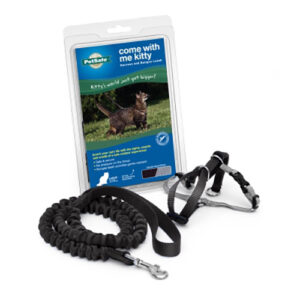 CAT HARNESS/BUNGEE LEASH BLACK L