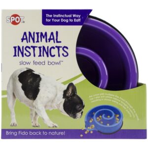 SLOW FEED BOWL 10" PURPLE