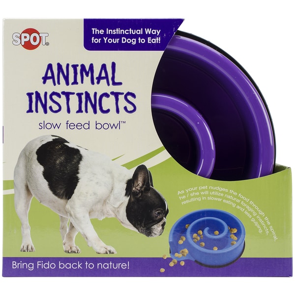 SLOW FEED BOWL 10" PURPLE