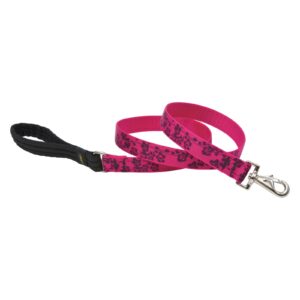 1in Plum Blossom 6ft Leash