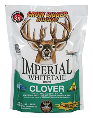 IMPERIAL WHITETAIL CLOVER 4#